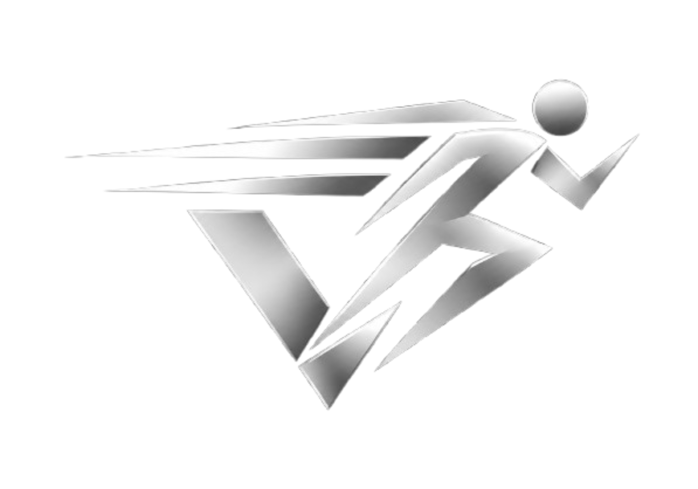 Velocity Solutions emblem